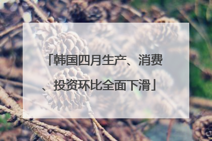 韩国四月生产、消费、投资环比全面下滑