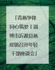 青燕争锋 同心筑梦丨淄博市沂源县燕崖镇召开年轻干部座谈会