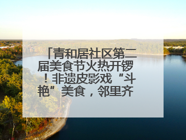 青和居社区第二届美食节火热开锣！非遗皮影戏“斗艳”美食，邻里齐聚“粽”享温情
