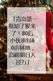 青岛第一批知了猴来了！80后小伙承包60亩林地，高峰期日入过万