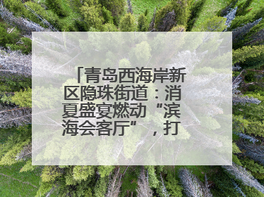 青岛西海岸新区隐珠街道：消夏盛宴燃动“滨海会客厅”，打造全天候、全龄段消费生态圈