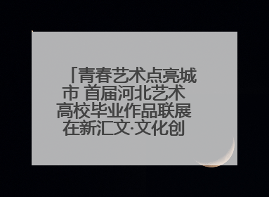 青春艺术点亮城市 首届河北艺术高校毕业作品联展在新汇文·文化创意体验中心开幕