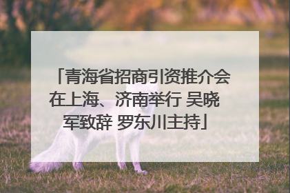 青海省招商引资推介会在上海、济南举行 吴晓军致辞 罗东川主持