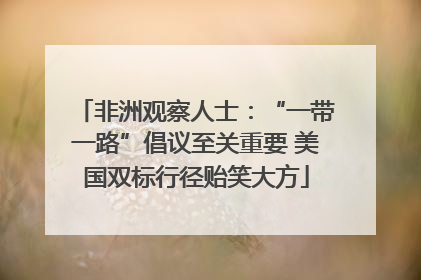 非洲观察人士：“一带一路”倡议至关重要 美国双标行径贻笑大方