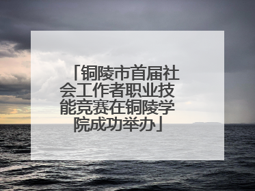 铜陵市首届社会工作者职业技能竞赛在铜陵学院成功举办