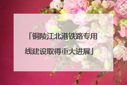 铜陵江北港铁路专用线建设取得重大进展