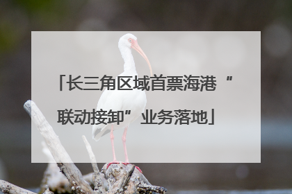 长三角区域首票海港“联动接卸”业务落地