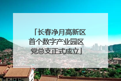 长春净月高新区首个数字产业园区党总支正式成立