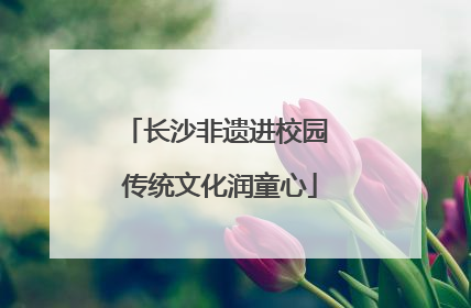 长沙非遗进校园 传统文化润童心