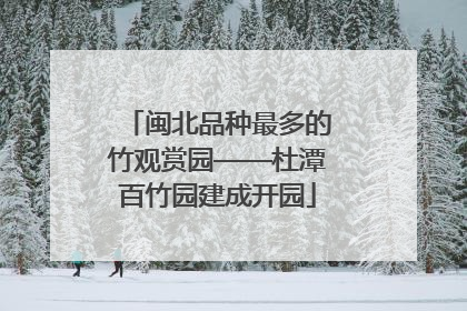 闽北品种最多的竹观赏园——杜潭百竹园建成开园