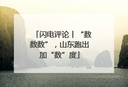 闪电评论丨“数数数”，山东跑出加“数”度