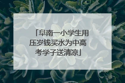 阜南一小学生用压岁钱买水为中高考学子送清凉