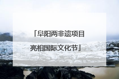 阜阳两非遗项目亮相国际文化节
