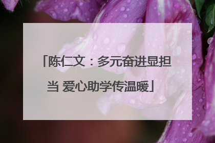 陈仁文：多元奋进显担当 爱心助学传温暖