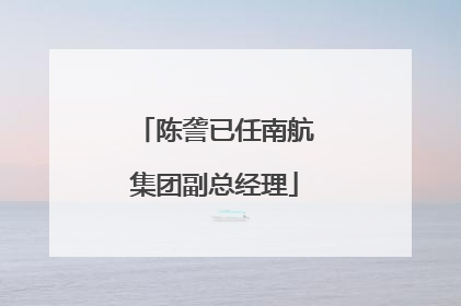 陈詟已任南航集团副总经理