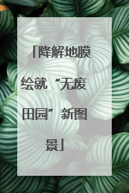 降解地膜绘就“无废田园”新图景