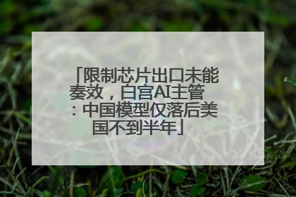 限制芯片出口未能奏效，白宫AI主管：中国模型仅落后美国不到半年