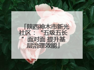 陕西神木市新光社区：“五级五长”面对面 提升基层治理效能