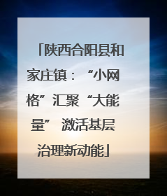 陕西合阳县和家庄镇：“小网格”汇聚“大能量” 激活基层治理新动能