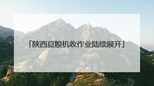 陕西夏粮机收作业陆续展开