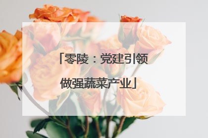 零陵：党建引领 做强蔬菜产业