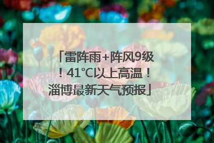 雷阵雨+阵风9级！41℃以上高温！淄博最新天气预报