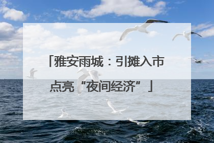 雅安雨城：引摊入市 点亮“夜间经济”