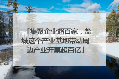 集聚企业超百家，盐城这个产业基地带动周边产业开票超百亿