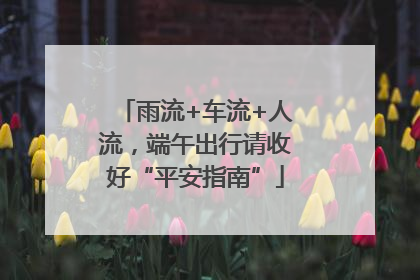 雨流+车流+人流，端午出行请收好“平安指南”