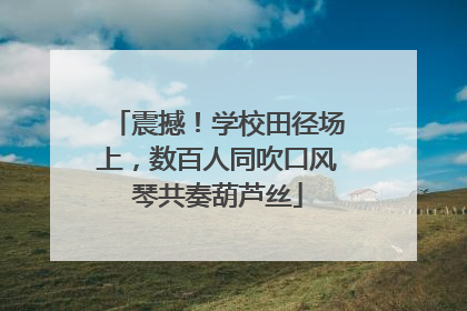 震撼！学校田径场上，数百人同吹口风琴共奏葫芦丝