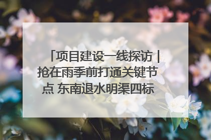项目建设一线探访｜抢在雨季前打通关键节点 东南退水明渠四标段项目顺利完工