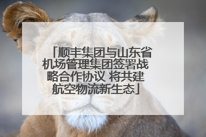 顺丰集团与山东省机场管理集团签署战略合作协议 将共建航空物流新生态