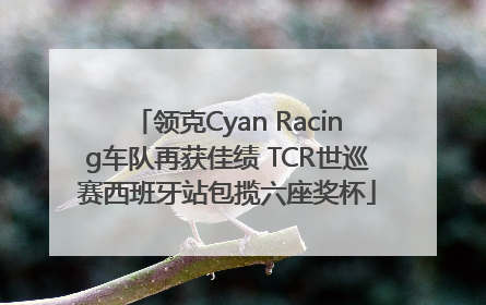 领克Cyan Racing车队再获佳绩 TCR世巡赛西班牙站包揽六座奖杯