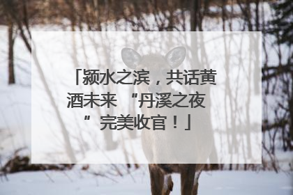 颍水之滨，共话黄酒未来 “丹溪之夜”完美收官！