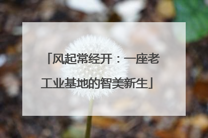 风起常经开：一座老工业基地的智美新生