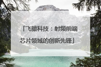 飞骧科技：射频前端芯片领域的创新先锋