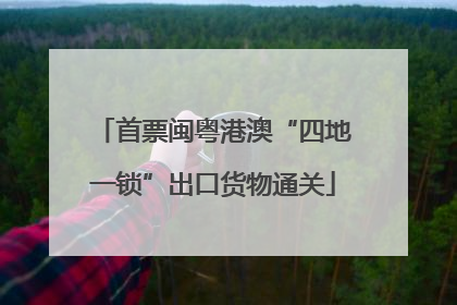 首票闽粤港澳“四地一锁”出口货物通关