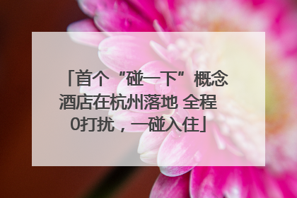 首个“碰一下”概念酒店在杭州落地 全程0打扰，一碰入住