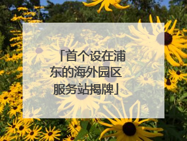 首个设在浦东的海外园区服务站揭牌