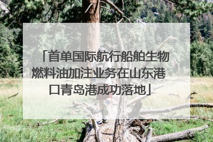 首单国际航行船舶生物燃料油加注业务在山东港口青岛港成功落地