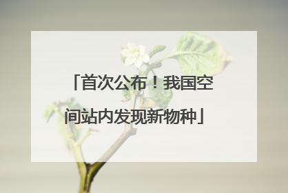 首次公布！我国空间站内发现新物种