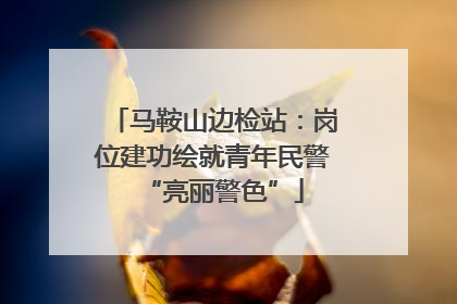 马鞍山边检站：岗位建功绘就青年民警“亮丽警色”