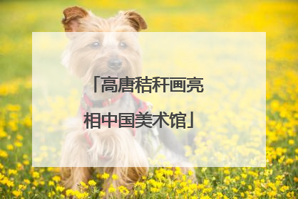 高唐秸秆画亮相中国美术馆