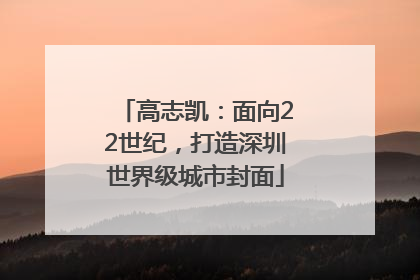 高志凯：面向22世纪，打造深圳世界级城市封面