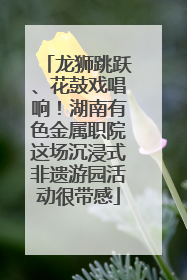龙狮跳跃、花鼓戏唱响！湖南有色金属职院这场沉浸式非遗游园活动很带感