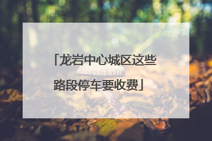 龙岩中心城区这些路段停车要收费