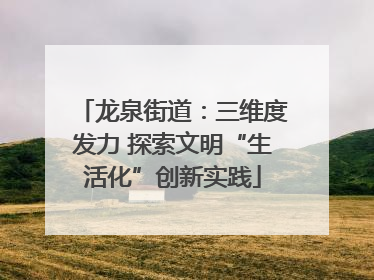 龙泉街道：三维度发力 探索文明“生活化”创新实践