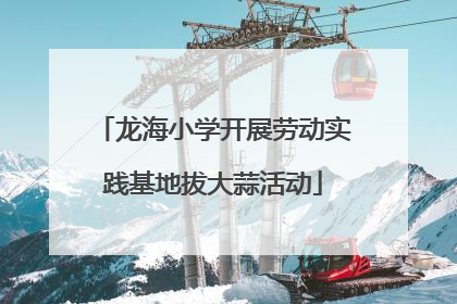 龙海小学开展劳动实践基地拔大蒜活动