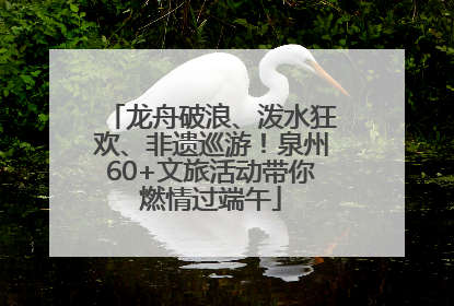 龙舟破浪、泼水狂欢、非遗巡游！泉州60+文旅活动带你燃情过端午