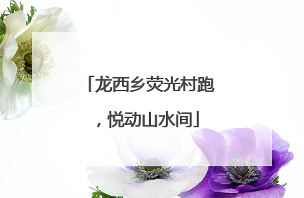 龙西乡荧光村跑，悦动山水间